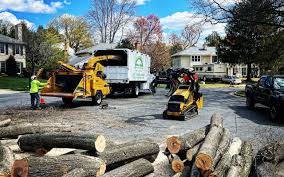 Best Tree Trimming and Pruning  in Meadow Glade, WA