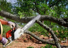 Best Utility Line Clearance  in Meadow Glade, WA